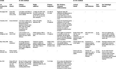 De novo testicular tissue generation from non-testicular cell lines, biologic and synthetic scaffolds: Current findings and future translational applications